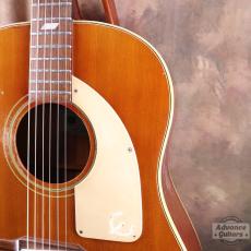 Epiphone 1968年製 FT-79_14