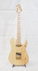 Washburn NELE STANDARD_2