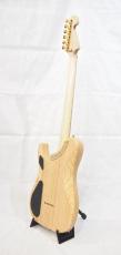 Washburn NELE STANDARD_5