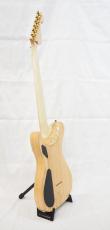 Washburn NELE STANDARD_6