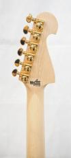 Washburn NELE STANDARD_10