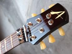 TOM ANDERSON Bulldog Locker Light Tiger Eye Burst with Binding _3