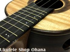 Akira Niihori Ukulele [Lizard] グランドコンサート サイドホール #05035 カーリーメイプル/インディアンローズウッド(裏1P)_15