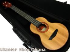 Akira Niihori Ukulele [Lizard] グランドコンサート サイドホール #05034 ウエスタンレッドシダー/アフリカンパドック(裏1P)_10