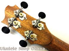 Akira Niihori Ukulele [Cobra] グランドコンサート サイドホール カッタウェイ #02042 イングルマンスプルース/ハワイアンコア_14