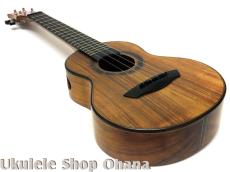 Akira Niihori Ukulele [Daizu] スモールコンサート サイドホール #06007 ハワイアンコア_8