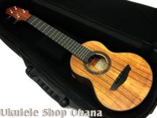 Akira Niihori Ukulele [Daizu] スモールコンサート サイドホール #06007 ハワイアンコア_10