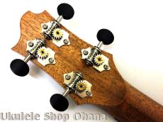 Akira Niihori Ukulele [Daizu] スモールコンサート サイドホール #06007 ハワイアンコア_14