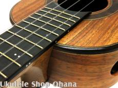 Akira Niihori Ukulele [Daizu] スモールコンサート サイドホール #06007 ハワイアンコア_15