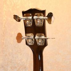 Gibson EB-2_4