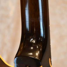 Gibson EB-2_6