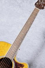 Takamine 【決算セール!8月31日まで】CTM PTU100C VN #61050202【送料当社負担・分割無金利】_5