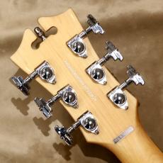 D'Angelico Premier Series Premier Bedford, Black Flake_5