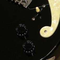 D'Angelico Premier Series Premier Bedford, Black Flake_8