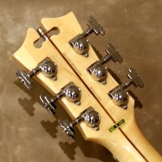 D'Angelico Deluxe Series Deluxe Brighton Desert Gold_5