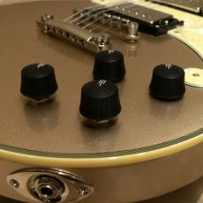 D'Angelico Deluxe Series Deluxe Brighton Desert Gold_8