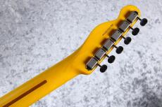 Fender American Professional Classic Telecaster / Faded Lake Placid Blue #US25089546 [3.49kg]_9