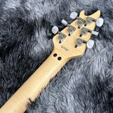 EVH MIJ Series EVH Signature Wolfgang Ivory【特価】【生産完了モデル】【日本製】_7
