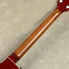Tokai LC172S/F_10