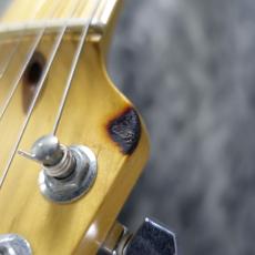 Fender American Special Telecaster 3-Color Sunburst_6