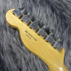 Fender American Special Telecaster 3-Color Sunburst_10