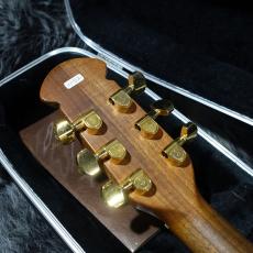 Ovation 1587-8_9