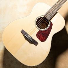 Morris F-3 NAT_2