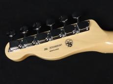 Fender Made in Japan Traditional 70s Telecaster Thinline Natural 2021_9