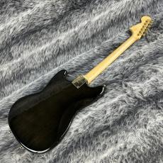 SCHECTER MS-JD250 ASH/SBLK/E_8