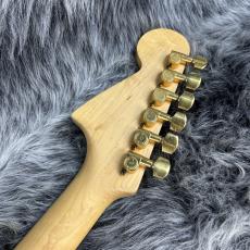 SCHECTER MS-JD250 ASH/SBLK/E_10