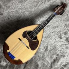 CALACE クラシコA Rosewood_2
