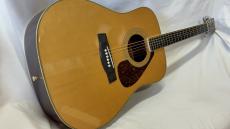 YAMAHA FG-301