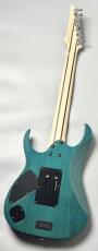 Ibanez 【Spalted Maple Top】【葉月(HAZUKI)Model】HZK1  #F2616505【3.92KG】_5