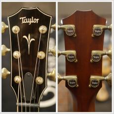 Taylor 【ちょい傷特価】K24ce  V-Class #1209222098【虎目◎】【追従性良好個体】_9