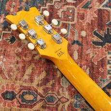 Aria Pro II DM-206 VW (Vintage White) -RETRO CLASSICS- 【アウトレット特価】_7