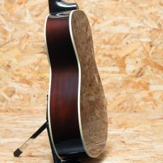 Gibson L-00 Standard VS_5