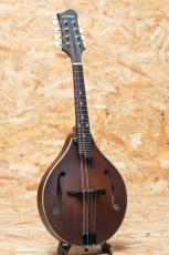 Eastman MD305 2025_3