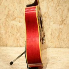 Gibson Dove NT WPG(Double Pick Guard)_4
