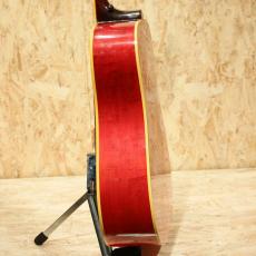 Gibson Dove NT WPG(Double Pick Guard)_5