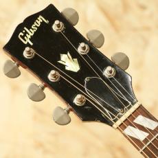 Gibson Dove NT WPG(Double Pick Guard)_8
