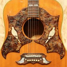 Gibson Dove NT WPG(Double Pick Guard)_11