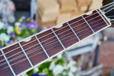 Gretsch Tennessean_10