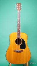 Martin D-18_2