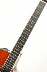 Takamine 【クロサワ横浜店】2026年製 匠TAKUMI ~Antique Nutmeg~【48回無金利分割可能】_7
