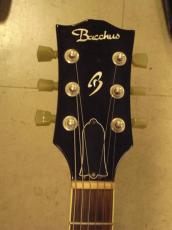 Bacchus BSG-480_5