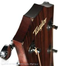 Taylor 410【セール開催中!36回無金利対象品】_13