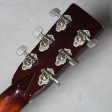 The Kasuga BG-100_9
