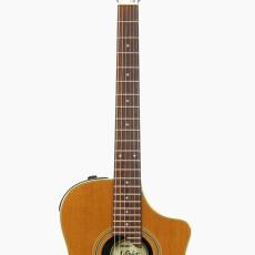 Line6 Variax Acoustic 700*2004_5