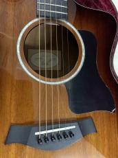 Taylor 224CE-Koa DLX ハワイアンコア単板トップ/ES-2ピックアップ付き!_3