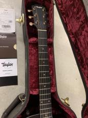 Taylor 224CE-Koa DLX ハワイアンコア単板トップ/ES-2ピックアップ付き!_5